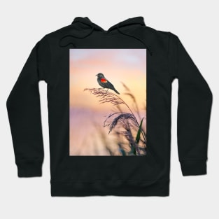 Red Winged Blackbird Sunset Hoodie